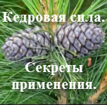 Продукты линии «Кедровая сила». Секреты применения.  