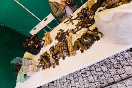 IMG_8651.jpg