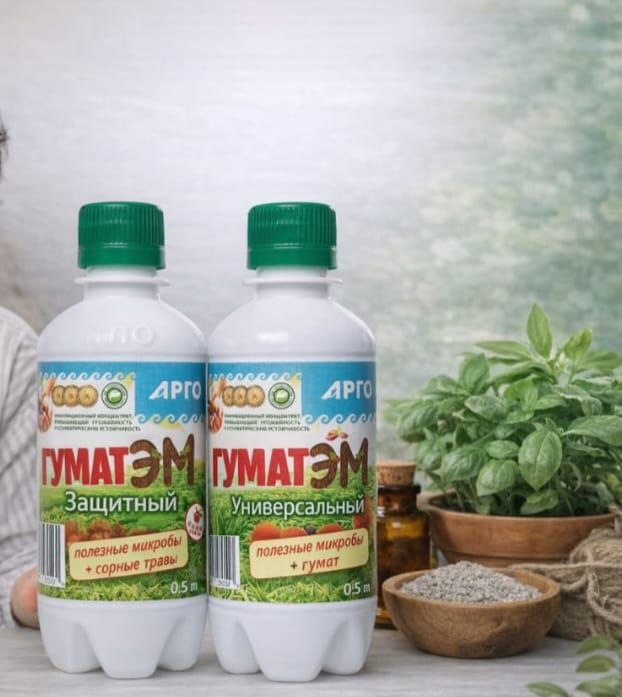 1. Пикировка.jpg