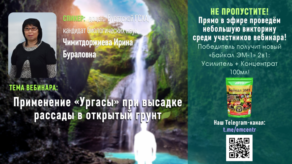 эм центр 3.jpeg