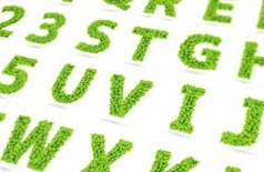 font.jpg