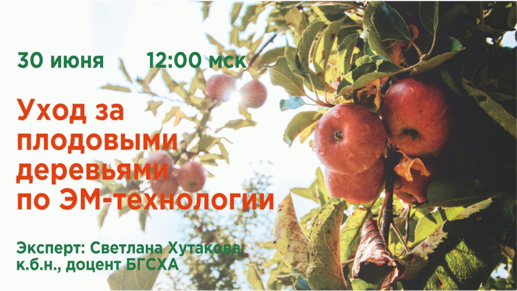 эм центр 4.jpg